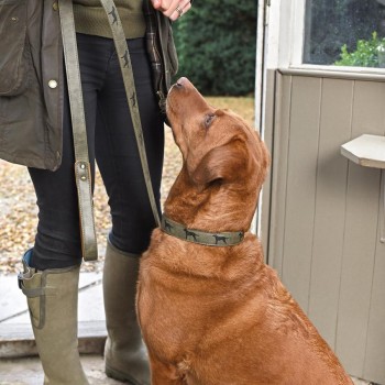 Kunstlederhalsband für kleine & große Hunde mit Hundemotiven v Sophie Allport, Geschenke für Hundebesitzer