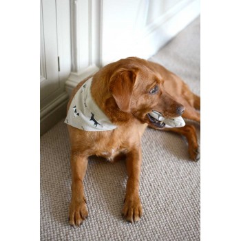 Hundehalsband / Hundehalstuch / Hundebandana aus Hundestoffen von Sophie Allport, Hunde Geschenke