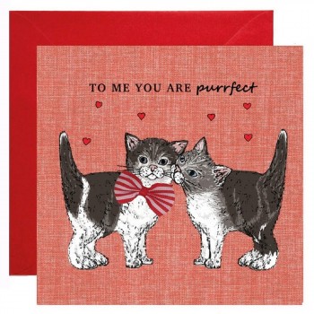 Katzen Valentinskarte mit Katzenmotiven, Katzen Valentinskarte für KatzenbesitzerInnen, Katzenkarten, Katzen Geschenkkarten