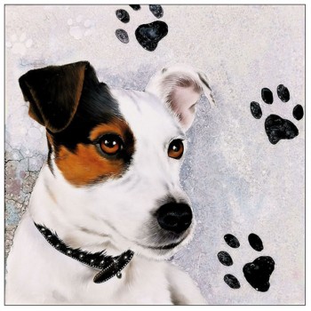 Jack Russell Servietten,...