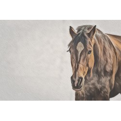 Pferdebilder, Reiterbilder, Pferdefotos, Pferdedrucke, Qaurter Horse Bilder, Pferde Leinwand mit Pferdemotiven