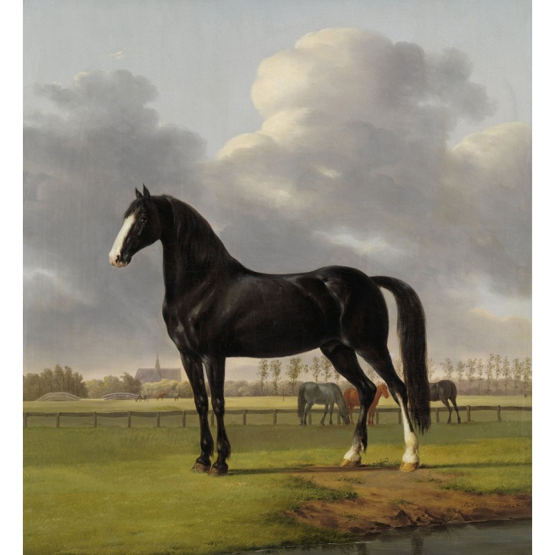 nostalgische Pferdebilder, Pferdeportraits, Pferdegemälde, Pferdedrucke, Pferdeleinwände, Geschenke für ReiterInnen